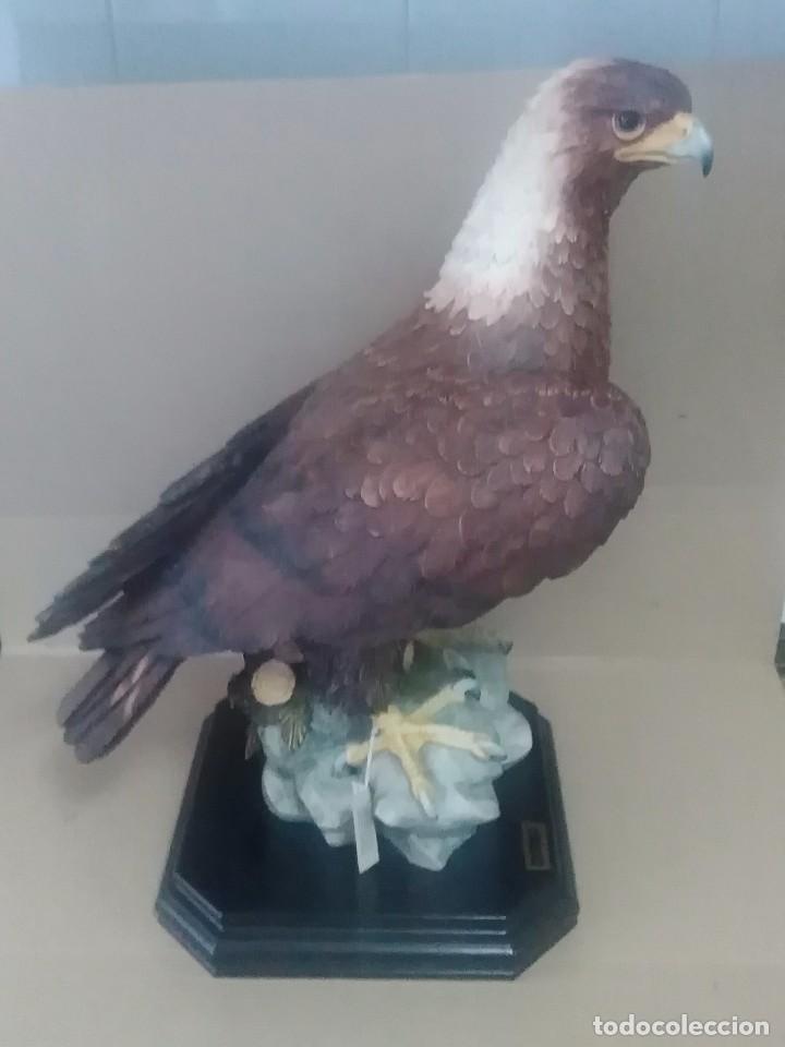 Arte: &Aacute;guila(T&oacute;nico Ballester Vilaseca) - Foto 1