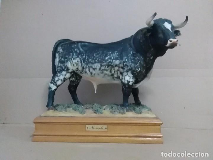 Arte: Toro de M,YV,S, Algora - Foto 1