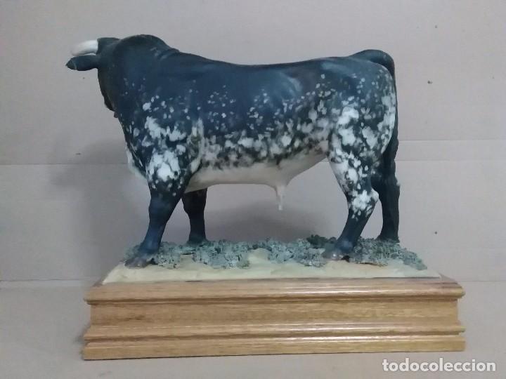 Arte: Toro de M,YV,S, Algora - Foto 2