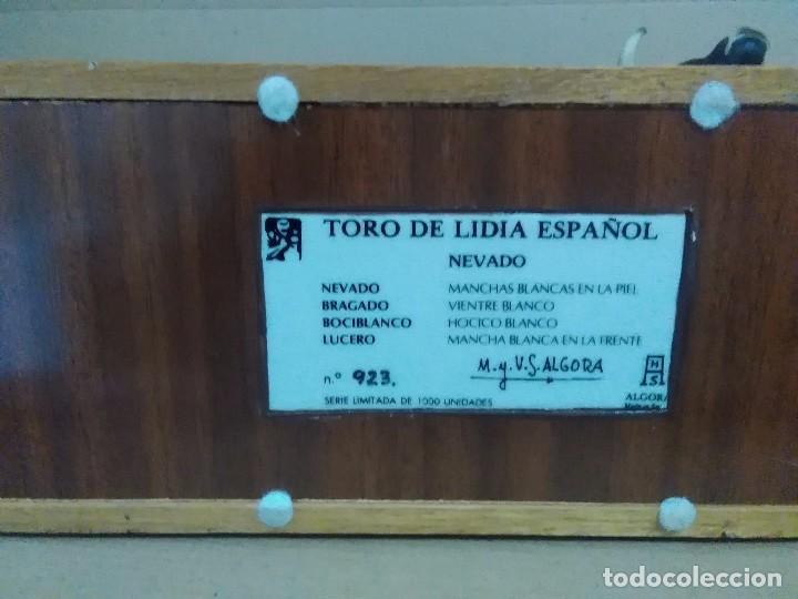 Arte: Toro de M,YV,S, Algora - Foto 3