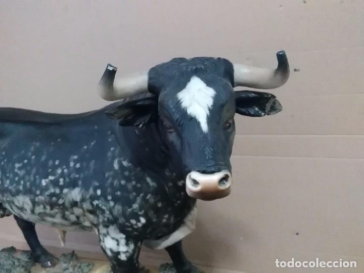 Arte: Toro de M,YV,S, Algora - Foto 5