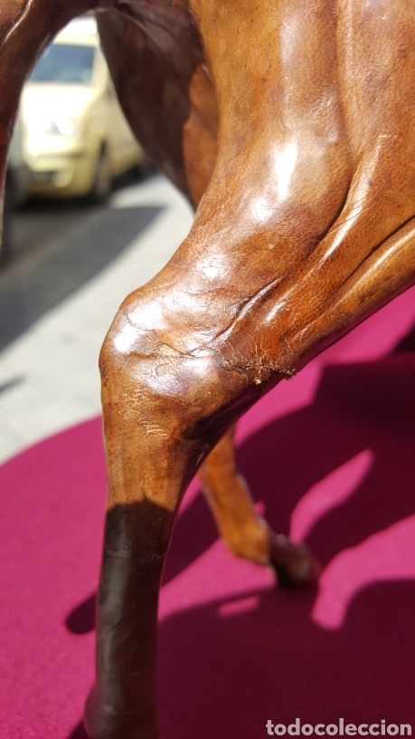 Arte: CABALLO DE CUERO - Foto 6