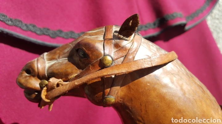 Arte: CABALLO DE CUERO - Foto 14