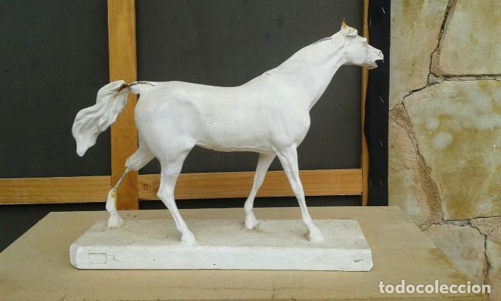Arte: Caballo de escayola S.XIX - Foto 1