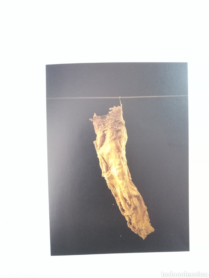 Arte: TERESA CEBRIAN. BARRO Y ALUMINIO. 75x95x20 CM - Foto 3