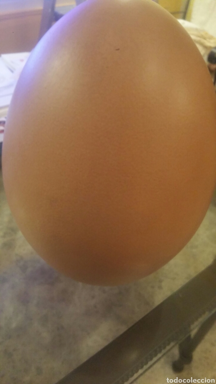 Arte: grand oeuf pol chambost - Foto 3