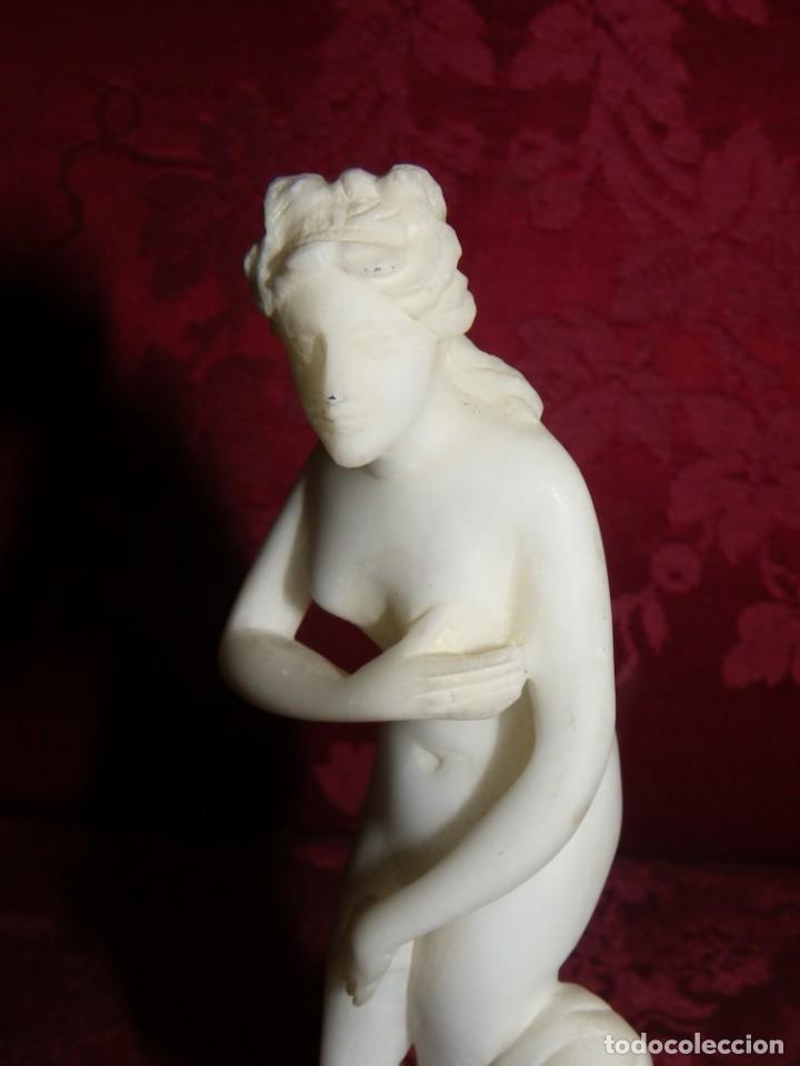 Arte: Venus en m&aacute;rmol antigua - Foto 31