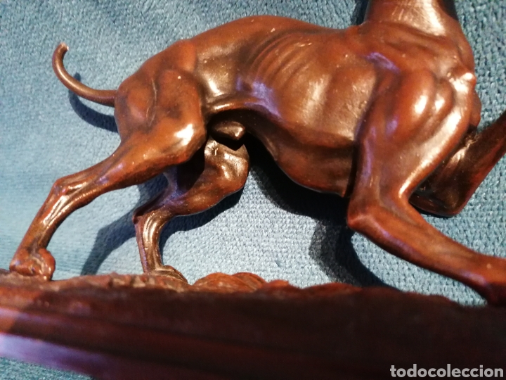 Arte: FIGURA ANTIGUA DE GALGO - Foto 11