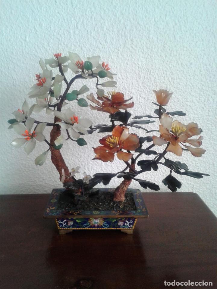 Arte: Bonsai con Jade oriental.A&ntilde;os 60 - Foto 2