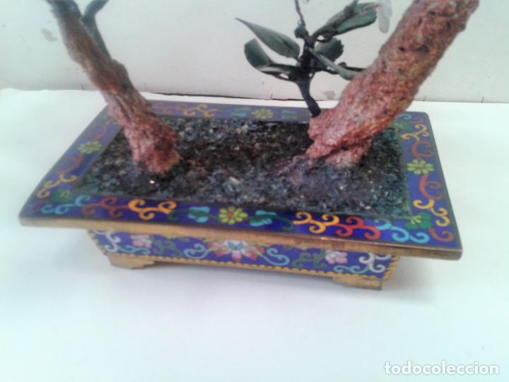Arte: Bonsai con Jade oriental.A&ntilde;os 60 - Foto 9