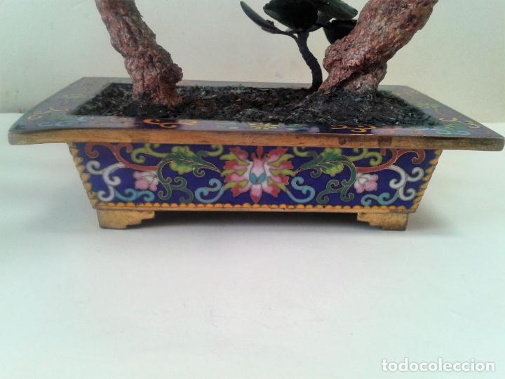 Arte: Bonsai con Jade oriental.A&ntilde;os 60 - Foto 10
