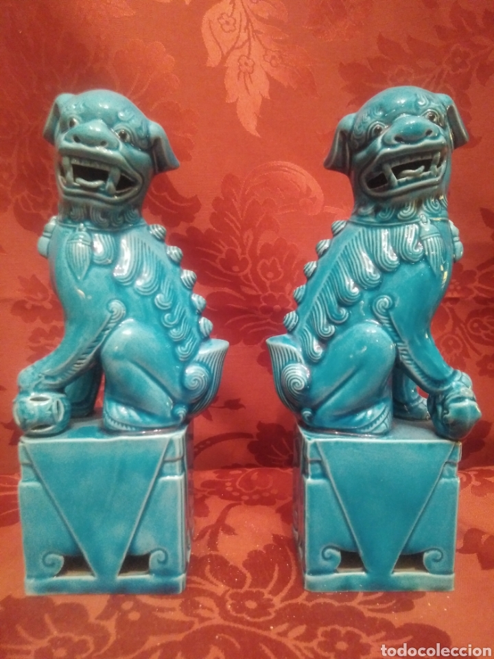 Arte: Pareja de leones, furias, dragones Foo 20 cms - Foto 1