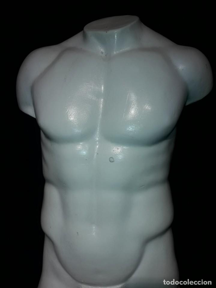 Arte: Torso en escayola - Foto 3