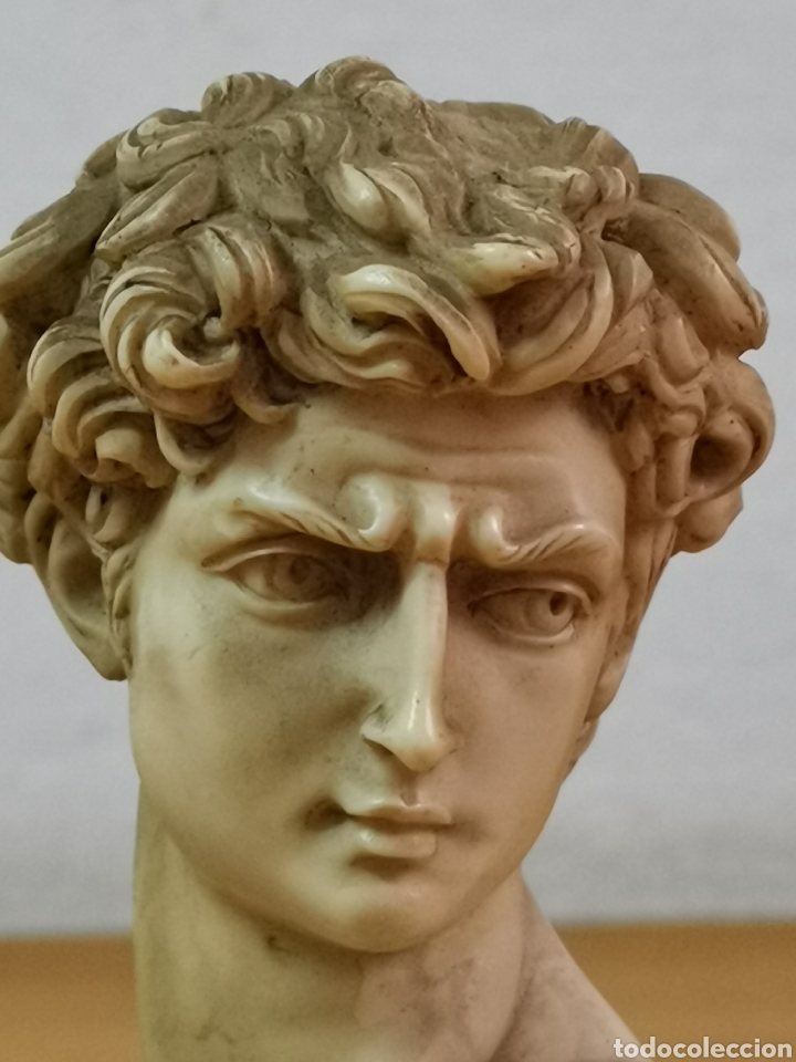 Arte: Busto David de Miguel Angel - Foto 5
