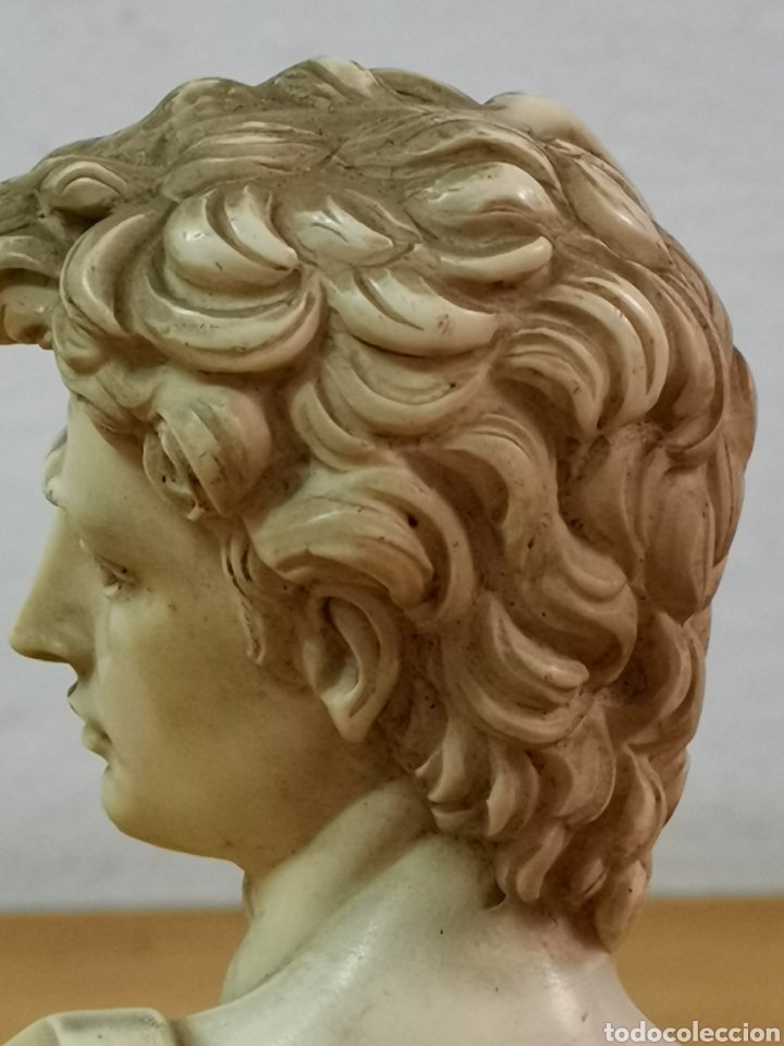 Arte: Busto David de Miguel Angel - Foto 8