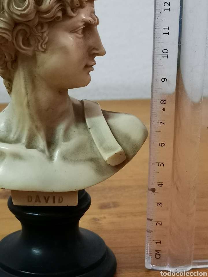 Arte: Busto David de Miguel Angel - Foto 13