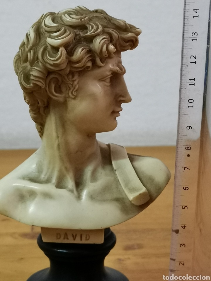 Arte: Busto David de Miguel Angel - Foto 14