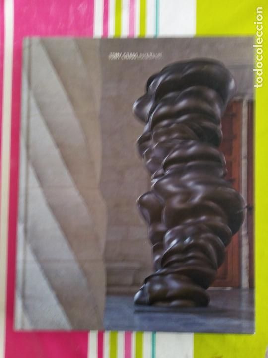 Arte: TONY CRAGG Escultures - Foto 1