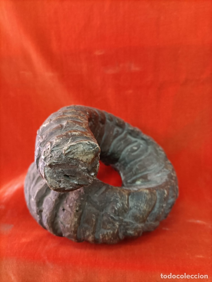 Arte: cuerno de carnero - Foto 1