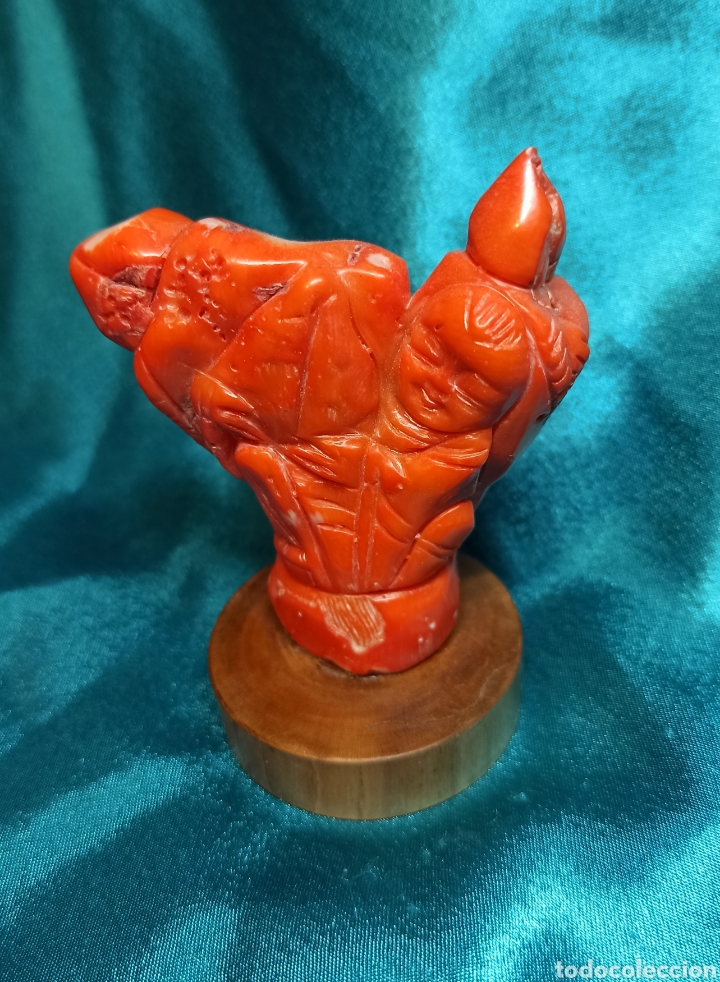 Arte: Figura de coral - Foto 2