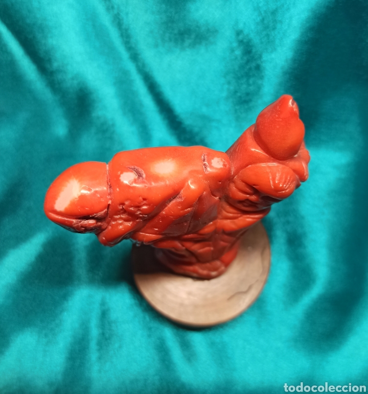 Arte: Figura de coral - Foto 5