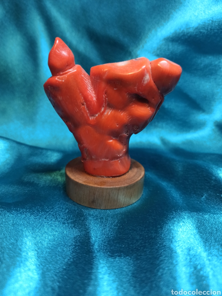 Arte: Figura de coral - Foto 7