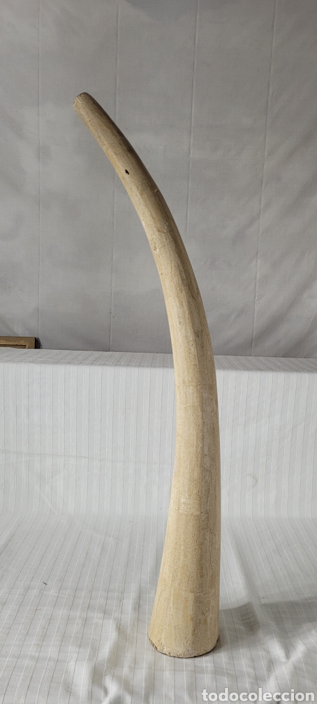 Arte: Cuerno artificial por LR Luisa Robinson - Foto 11