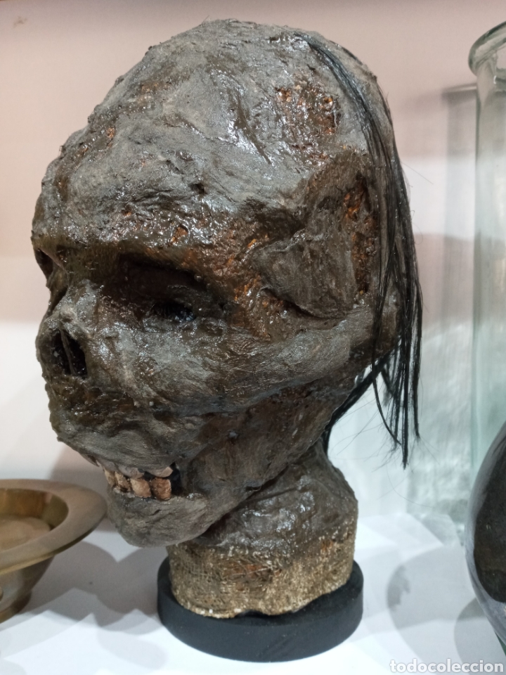 Arte: ESCULTURA CABEZA DE MOMIA. - Foto 3