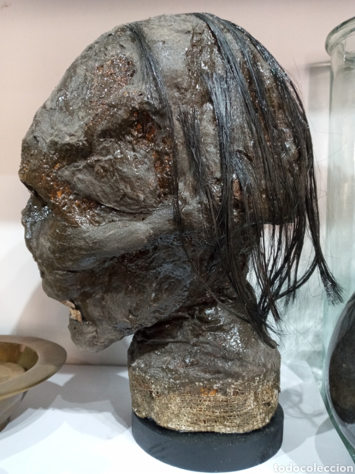 Arte: ESCULTURA CABEZA DE MOMIA. - Foto 4