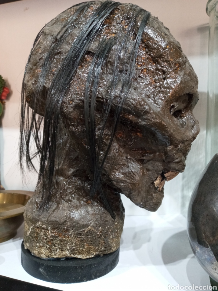 Arte: ESCULTURA CABEZA DE MOMIA. - Foto 6