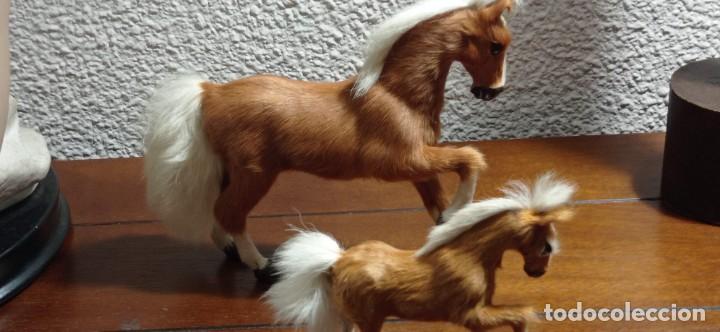 Arte: PAREJA CABALLOS CON PELO - Foto 5