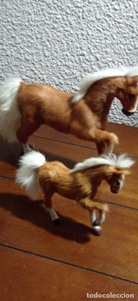 Arte: PAREJA CABALLOS CON PELO - Foto 6
