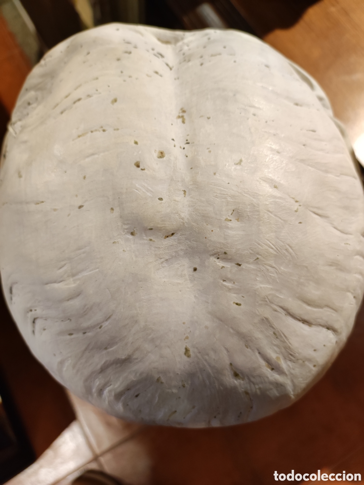 Arte: Busto m&aacute;rmol - Foto 2