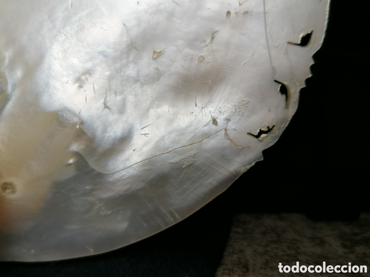 Arte: &Uacute;LTIMA CENA, TALLA ANTIGUA EN N&Aacute;CAR - Foto 17