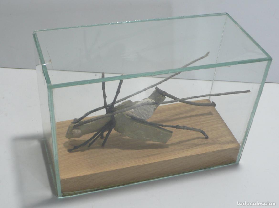 Arte: INSECTO DE PIEDRA ESCULTURA - Foto 3