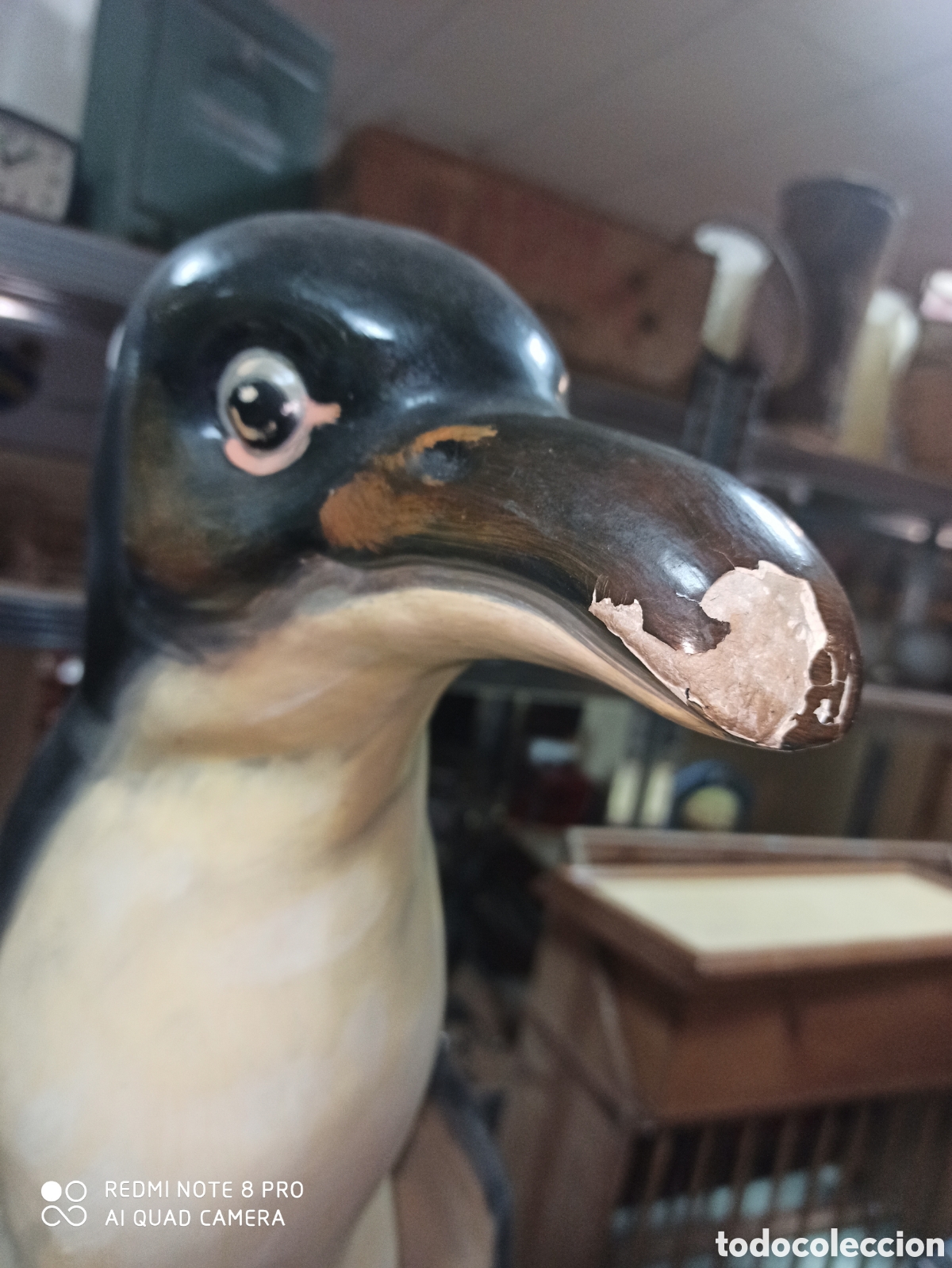 Arte: Ping&uuml;ino fallero indultado - Foto 4