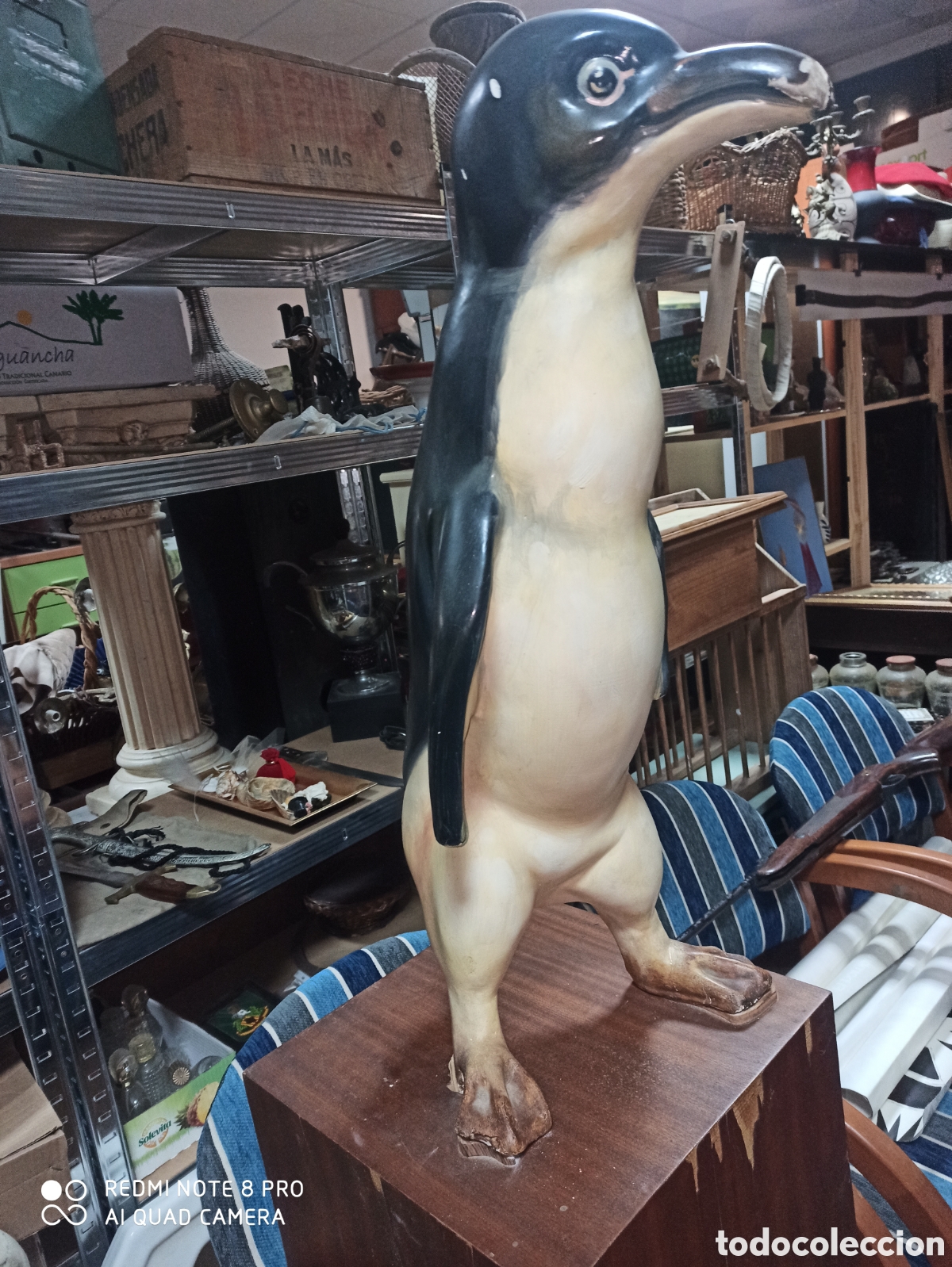 Arte: Ping&uuml;ino fallero indultado - Foto 5