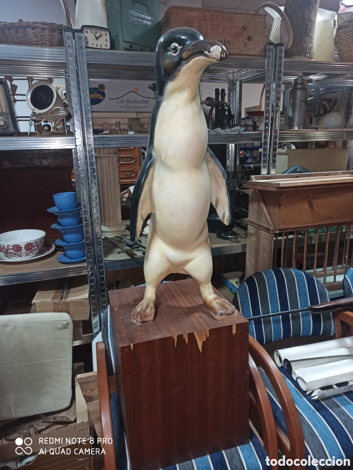 Arte: Ping&uuml;ino fallero indultado - Foto 1