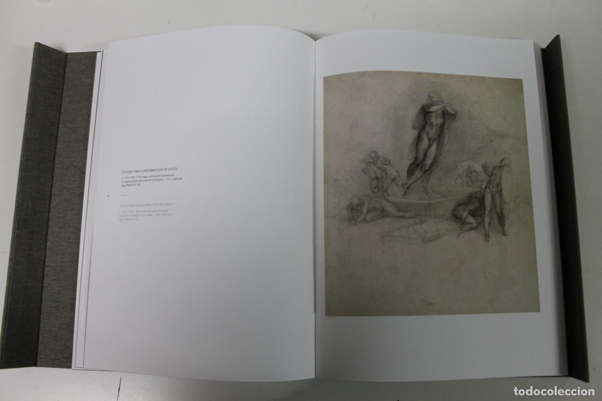 Arte: Michelangelo: dibujos. El libro joya de Artika. Edici&oacute;n limitada. Completo. - Foto 10