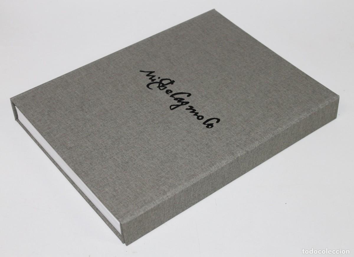 Arte: Michelangelo: dibujos. El libro joya de Artika. Edici&oacute;n limitada. Completo. - Foto 15