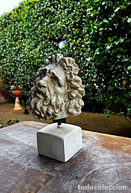 Arte: CABEZA DE LACOONTE MUSEOS VATICANOS - Foto 4