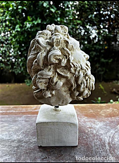 Arte: CABEZA DE LACOONTE MUSEOS VATICANOS - Foto 7