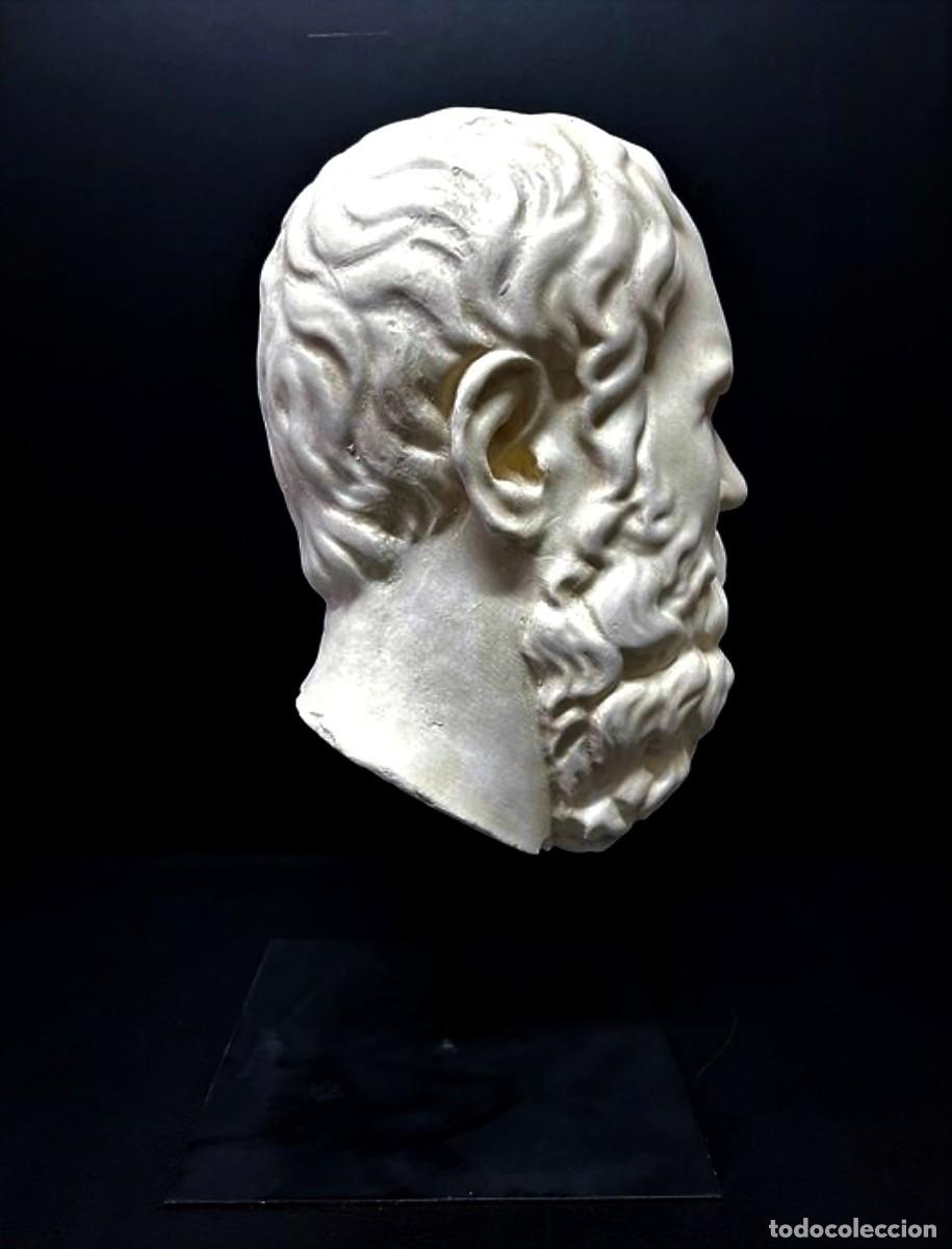 Arte: CABEZA DEL FILOSOFO SOCRATES - Foto 4