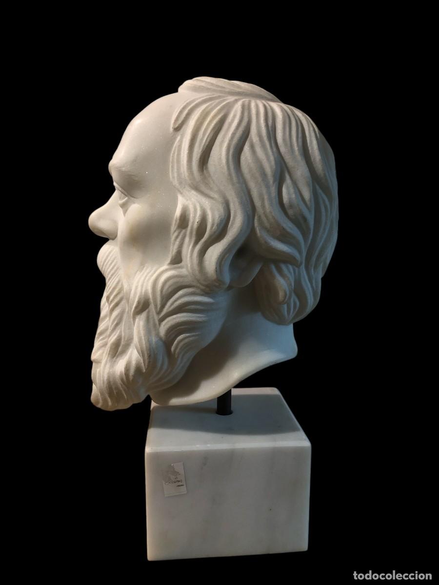 Arte: GRAN BUSTO MARMOL SOCRATES - Foto 3