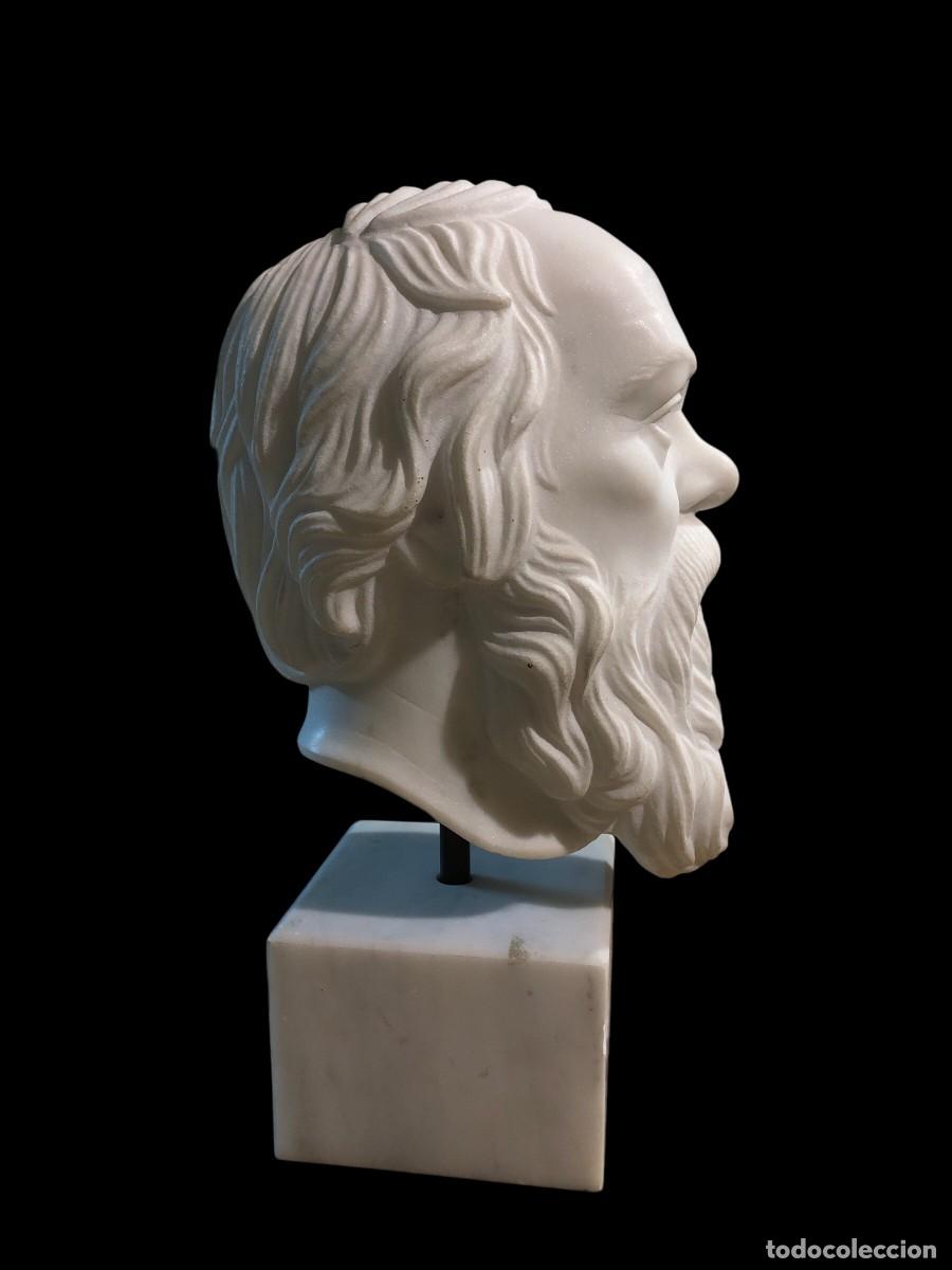 Arte: GRAN BUSTO MARMOL SOCRATES - Foto 5