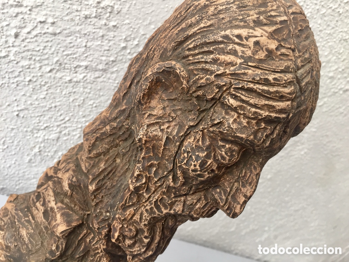 Arte: Figura Cabeza con peana de m&aacute;rmol - Foto 7
