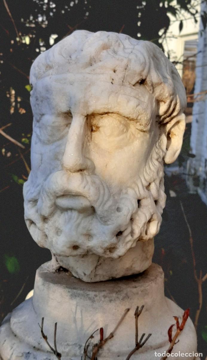 Arte: Cabeza noble en m&aacute;rmol blanco - Foto 1