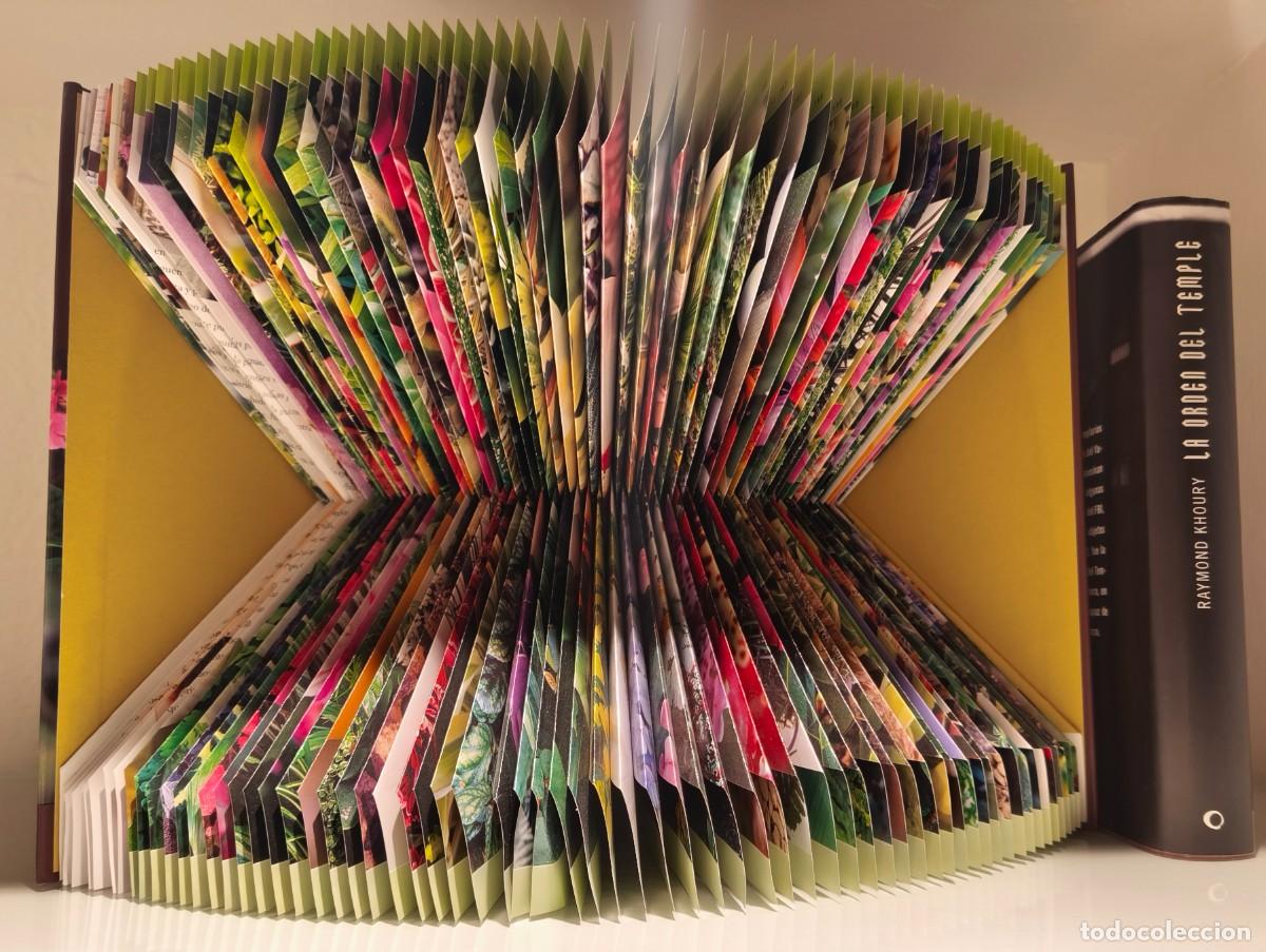 Arte: Decoraci&oacute;n Arte Libros PPerez - Foto 1