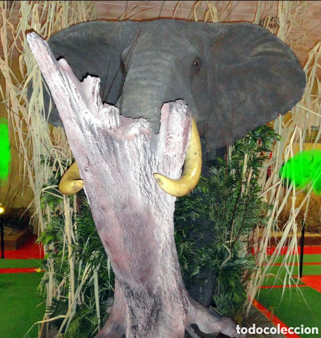 Arte: Precioso busto de elefante africano sint&eacute;tico