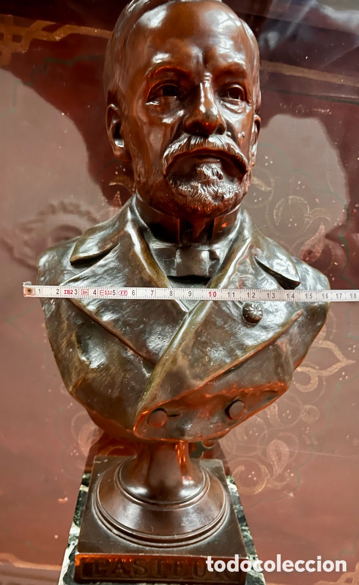 Arte: Busto de Louis Pasteur - Foto 8